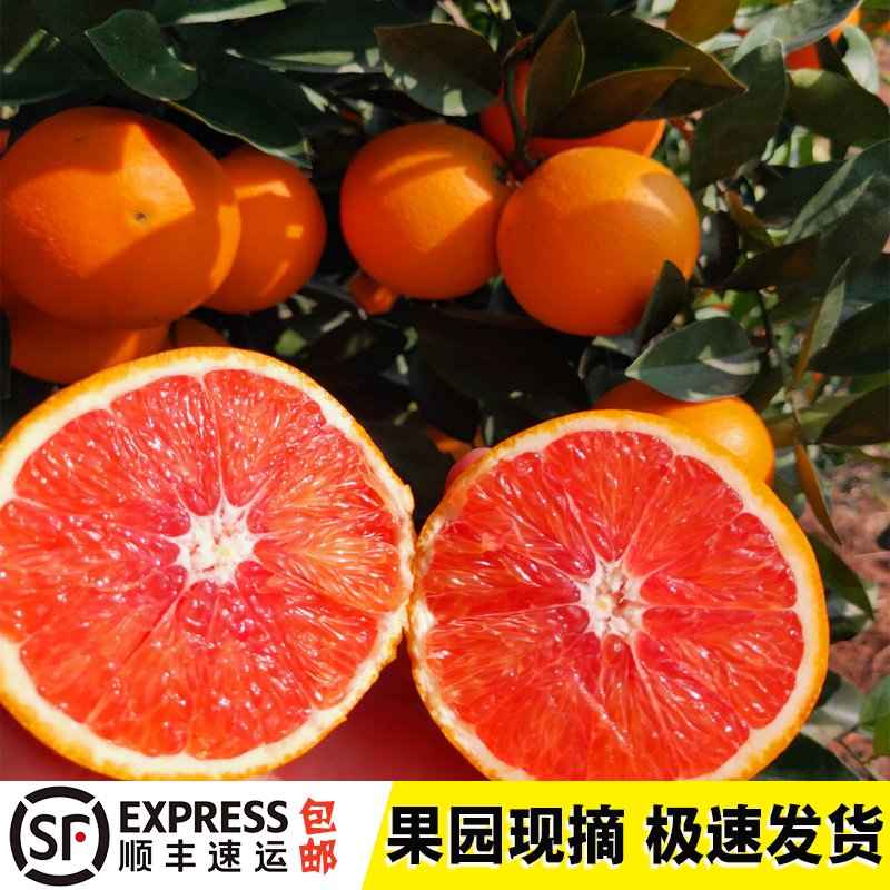 血橙10斤赣南红肉脐橙新鲜现摘