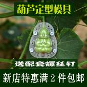 .大葫芦定型模具水果造型模子人参果生长模型磨具塑料成型套模器