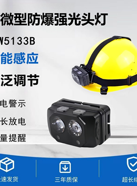 海洋王IW5133B防爆感应头灯手势开关安全帽防水防尘微型超亮充电