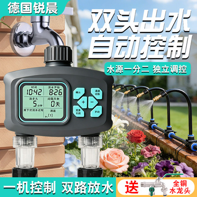 锐晨双出口定时器双路控制器
