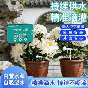 多时段懒人智能浇花滴灌神器植物盆栽家用定时虹吸灌溉洒水控制器
