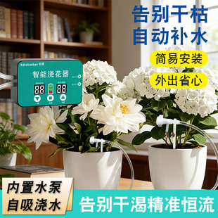 多时段懒人智能浇花滴灌神器植物盆栽家用定时虹吸灌溉洒水控制器