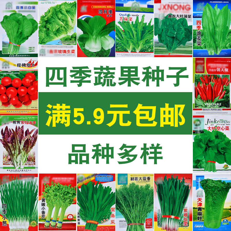 蔬菜种子四季菜播种阳台农家庭院盆栽生菜辣椒韭菜香菜孑大全包邮|msdalam kategori penghantaran bunga/bunga simulasi/tumbuhan berkebun, Gardening Supplies, Peralatan Perkebunan lain - dari Buy2taobao.com untuk memberikan perkhidmatan ejen Taobao profesional membeli