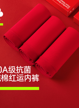 有棵树本命年内裤女红色纯棉桑蚕丝裆无痕莫代尔结婚内裤袜子套装