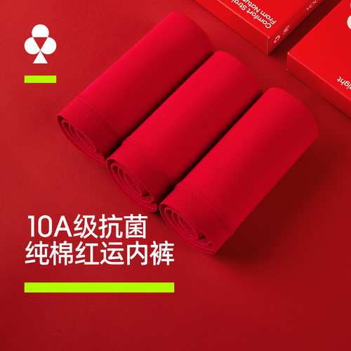 有棵树本命年内裤红色纯棉三角裤