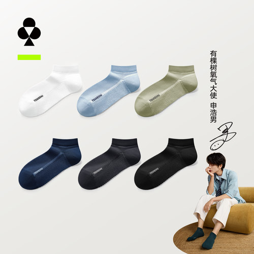 有棵树I男士纯棉夏季薄款短袜