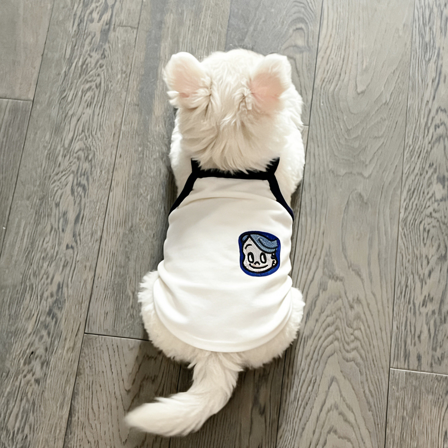 夏天狗狗衣服中小型犬薄图片