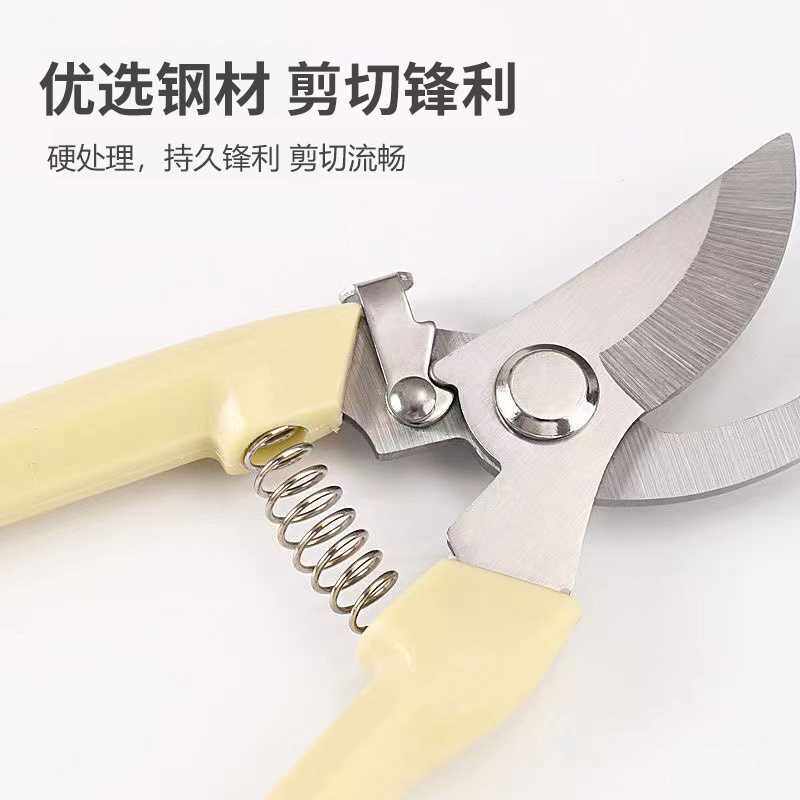 德沃多园艺花艺剪刀家用剪花修花园林修剪树枝果树花卉剪子工具-