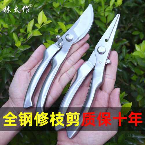 林太作全不锈钢果树修枝剪刀专用植物园林园艺花枝修花剪树枝剪子
