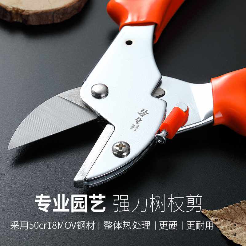 汪吾铨剪刀修树枝剪枝剪园林园艺剪刀果树修剪果园家用强力修花剪