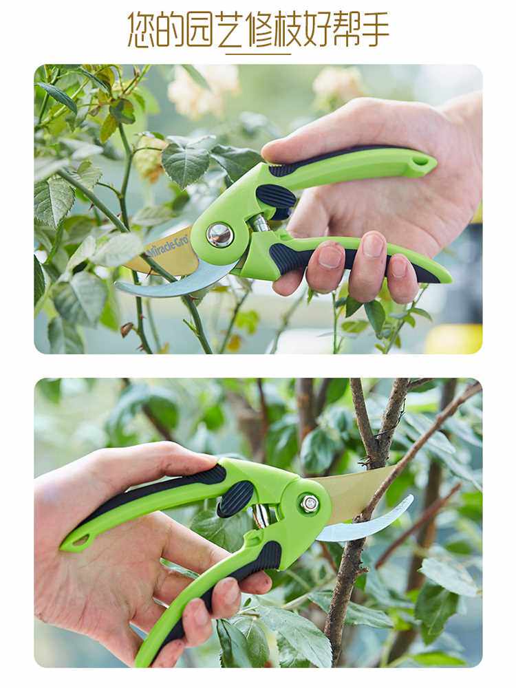 美乐棵剪枝剪园艺种植工具园林果树修枝剪刀枝条省力修花家用