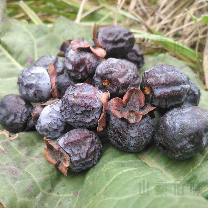 黑枣野生有核天然秦岭君迁子软枣