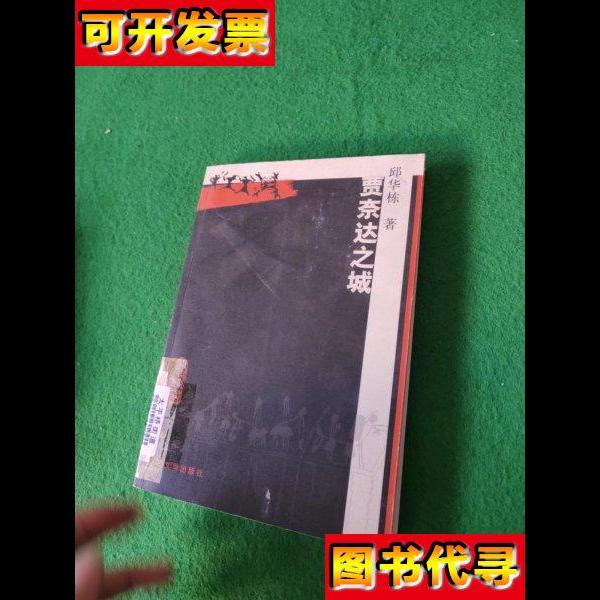 贾奈达之城 邱华栋 著 人民文学出版社