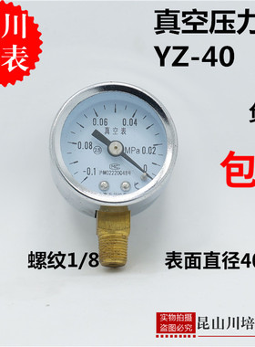 上海天川真空压力表YZ-40YZ-50小表面压力表真空负压表 -0.1-0MPA