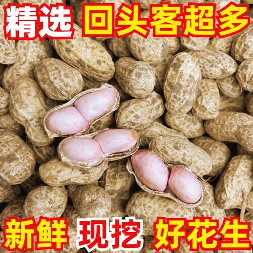现挖26年现挖新鲜花生带壳湿花生安徽现挖湿花生5斤3斤1.5斤