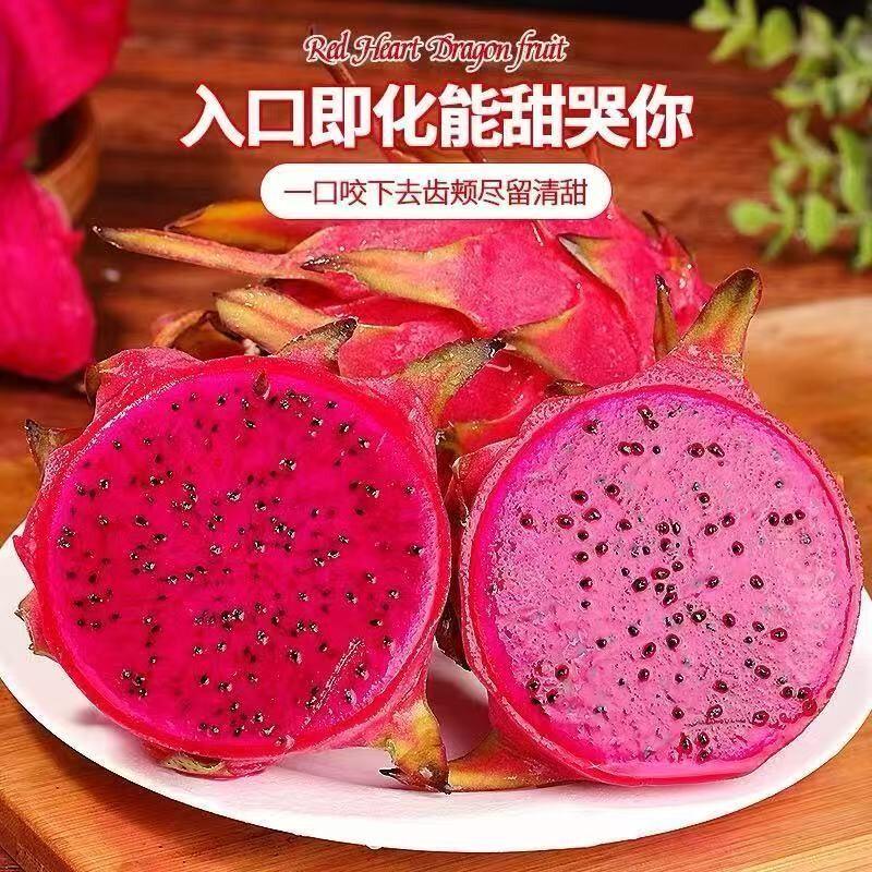 湛隆ZHANLONG金都一号红火龙果