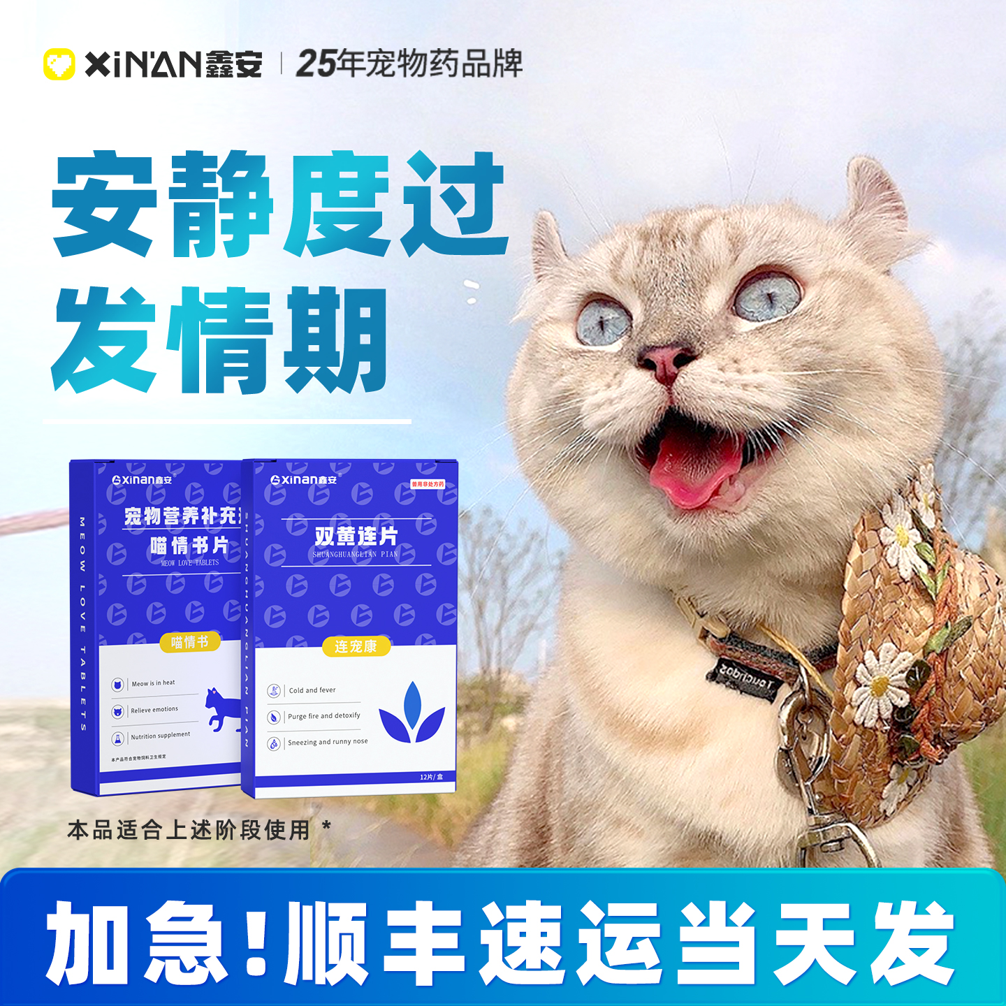 鑫安喵情书猫咪专用抑情