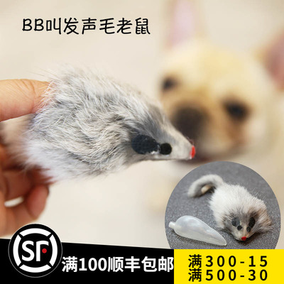 耗子老鼠bb叫赛场猫狗宠物训练