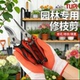 TUPI SK5剪树枝专用剪刀不锈钢修枝剪花卉枝嫁接园艺剪粗枝省力
