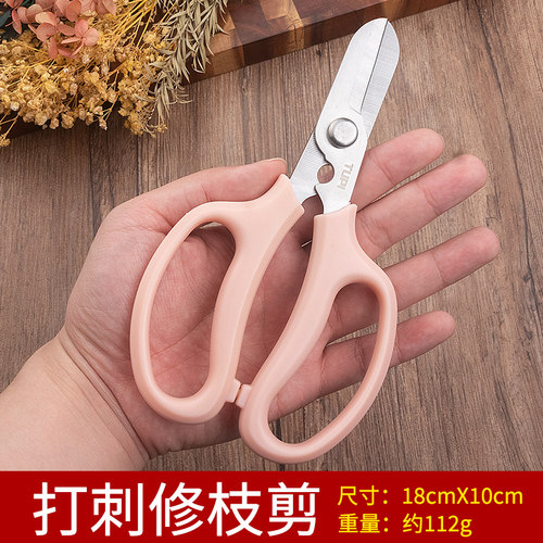 TUPI日本SK5花剪专用剪刀树枝修枝剪粗枝剪省力家用园林专用工具