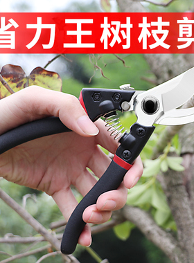 日本SK5修枝剪修剪花卉剪刀枝剪省力耐用强力粗枝剪家用花艺剪刀