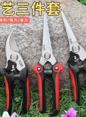 园艺剪刀修枝剪花艺剪刀家用修枝剪剪枝剪刀修剪花卉剪刀摘果神器