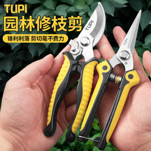 修剪树枝专用剪刀强力粗枝剪省力