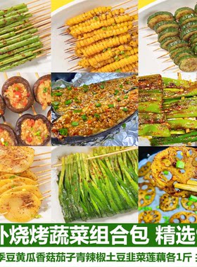 户外烧烤蔬菜组合包 烧烤素菜包 烧烤串串食材素食精选9斤装包邮