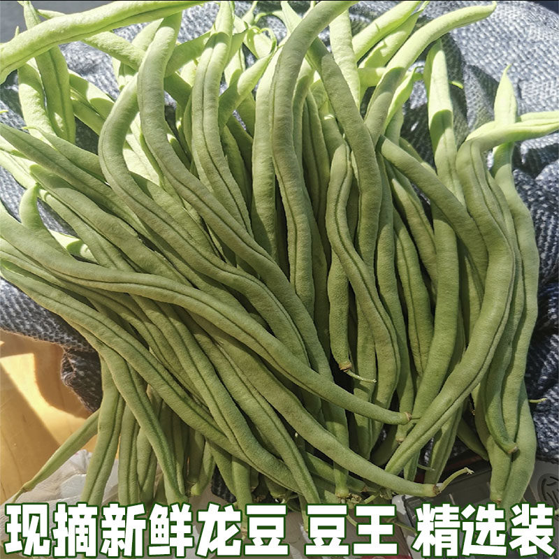 龙豆新鲜豆角湖北农家自种蔬菜架豆王豆角无筋芸豆龙豆现摘包邮,水产肉类/新鲜蔬果/熟食,新鲜豆类,淘宝优惠券,粉丝福利购,淘宝优惠卷