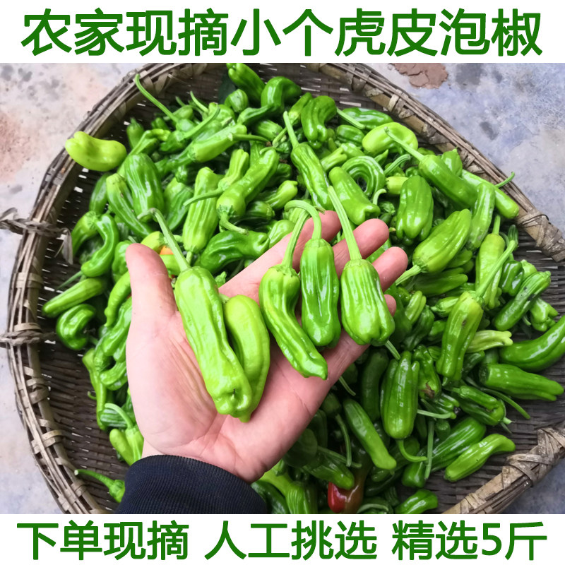 湖北农家自种虎皮青椒小辣椒小泡椒虎皮辣椒不辣本地土辣椒现发