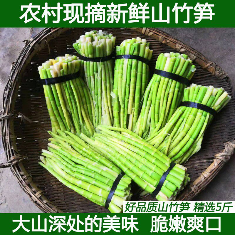 农家新鲜山竹笋新鲜现挖小春笋小竹笋去壳细笋水竹笋春笋手剥笋