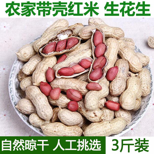 湖北农村自家菜园种植红皮花生带壳红花生米红花生 生花生3斤包邮