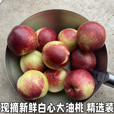 白心油桃包邮纯脆应季现摘新鲜