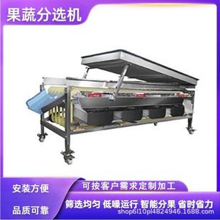 黃皮果撿果機 桃子選果機 軌道式 商用嘉寶果多級分選機