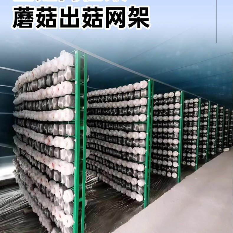 食用菌出菇架大棚方舱出菇网格架培菌种殖架出菇网片蘑菇架蘑菇网