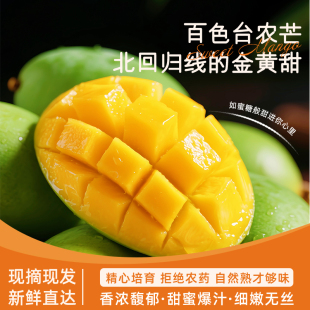 广西百色台农芒果现采现摘现发10斤整箱正宗好吃特产当季新鲜水果