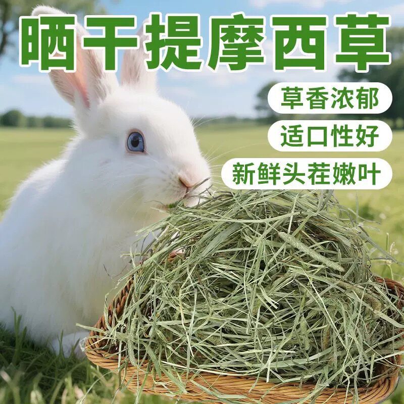 26年晒干提摩西草兔子粮草干草幼兔食用龙猫豚鼠吃的粮食兔粮饲料