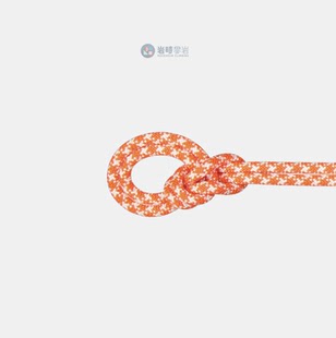 Rope2010 Classic 04230 Crag MAMMUT猛犸象野攀岩绳子户外9.5mm