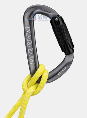 MAMMUT猛犸象Sender Twistlock D型主锁自动锁野攀岩2040-02540