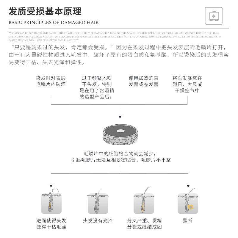 德国哈恩女士神经酰胺洗发水受损中干性发质沙发补水保湿