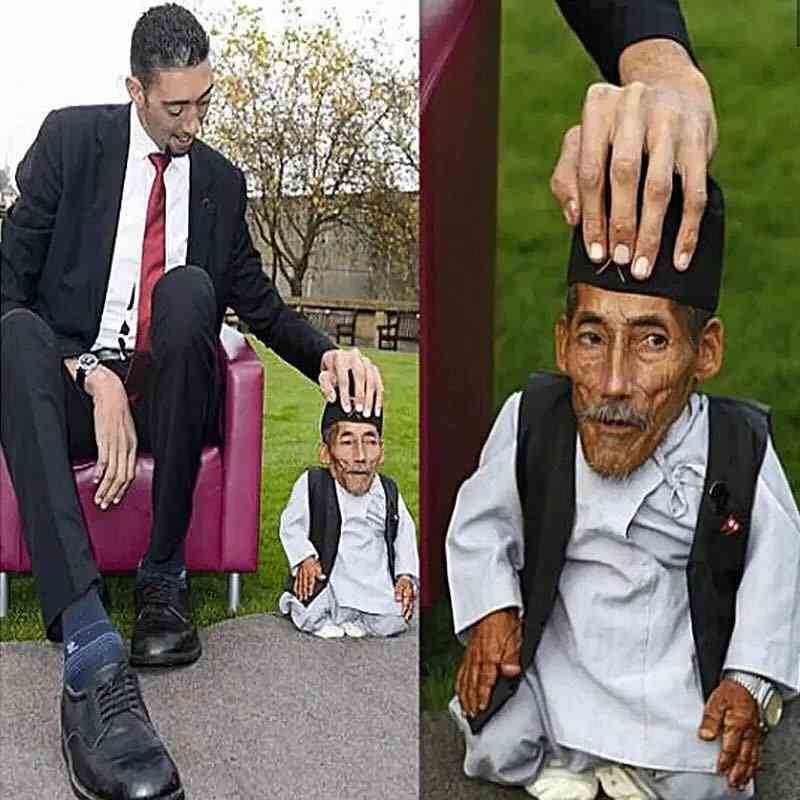 ¼ÓÇ¿°æ Âò2ËÍ1 13--48ËêרÓÃ Êæ»î¾«ÓÍ ´óÆ÷Íí³É È«¹ú°üÓÊ