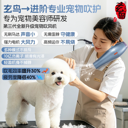 玄鸟宠物吹风机狗狗洗澡吹水机专用负离子挂脖一体大功率吹干神器