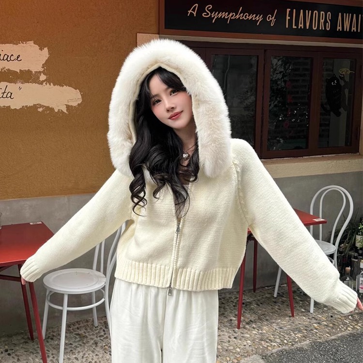气质高级感毛领针织连帽外套女