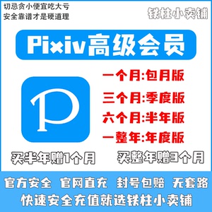 pixiv高级会员 代充 会员订阅 P站赞助画师  二次元插画 素材图片