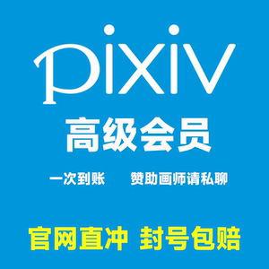 pixiv 高级会员 p站图片 动漫素材二次元高清插画图片  单人单号