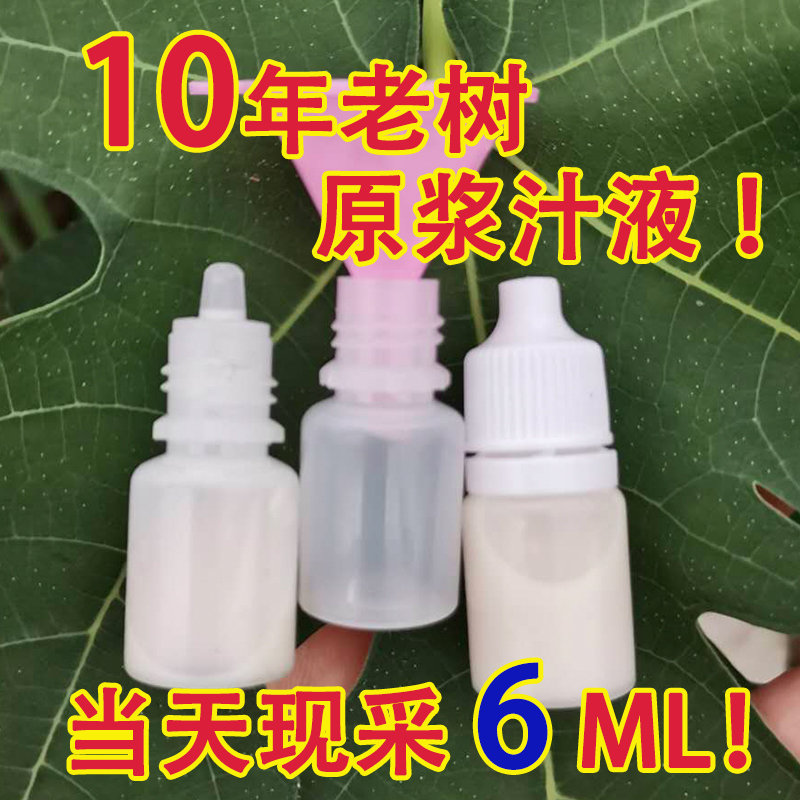 自然农法/无花果汁液纯白汁药用