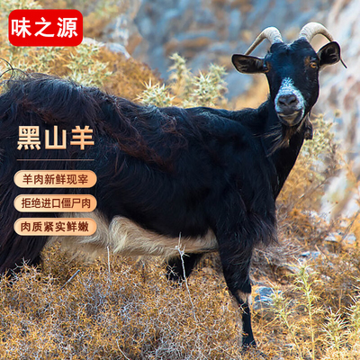 散养新鲜带皮黑山羊整只/半只白条羊酮体分割切块不带羊头和羊杂