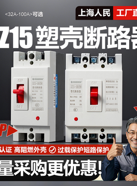 上海人民DZ15塑壳断路器2P 3P 32A 40A 63A 80A 100A空气开关380V