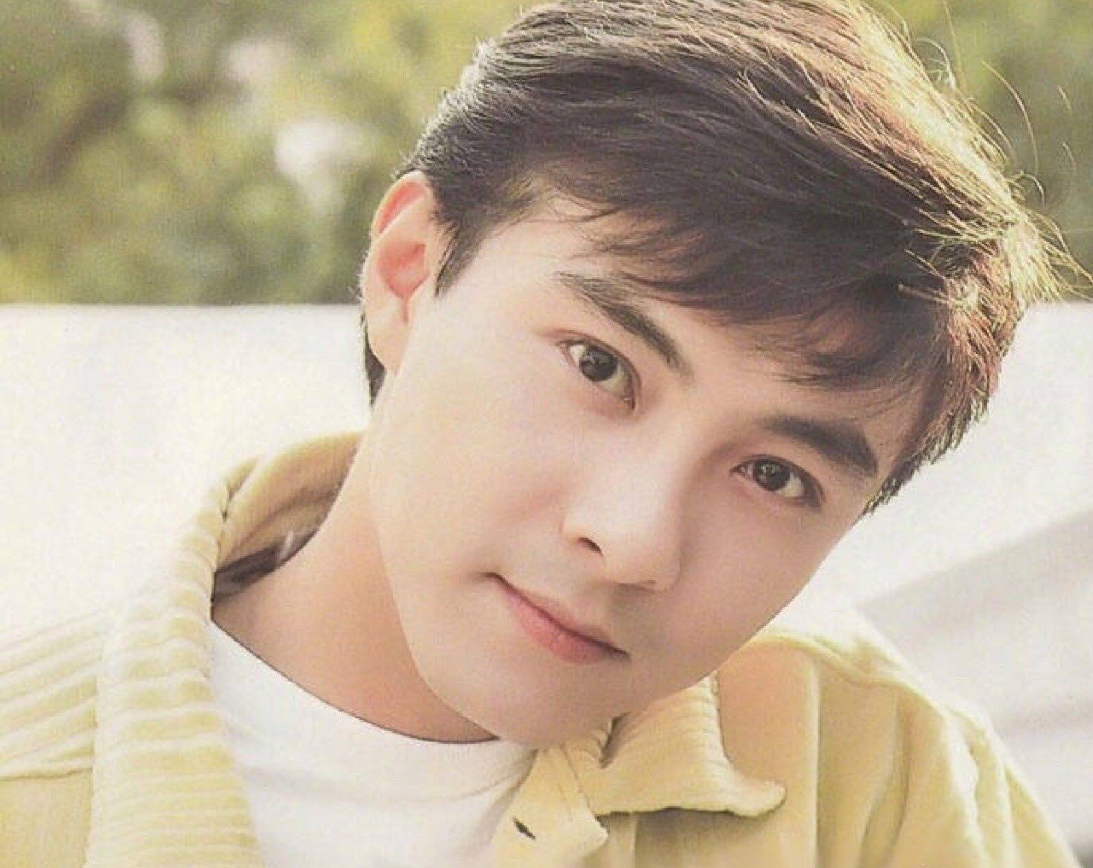 张卫健Dicky Cheung 黄金巅峰时刻颜值 个人经典怀旧写真照相片