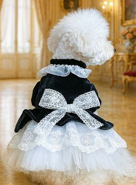 PETCIRCLE宠物圈狗狗衣服猫咪服饰蝴蝶结蕾丝边丝绒礼服裙